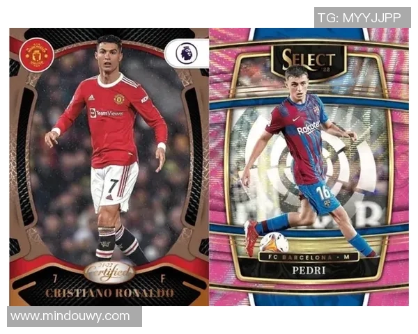 足球帕尼尼球星卡册收藏指南 玩转球场历史与珍稀卡片的魅力 足球帕尼尼球星卡册收藏指南 玩转球场历史与珍稀卡片的魅力