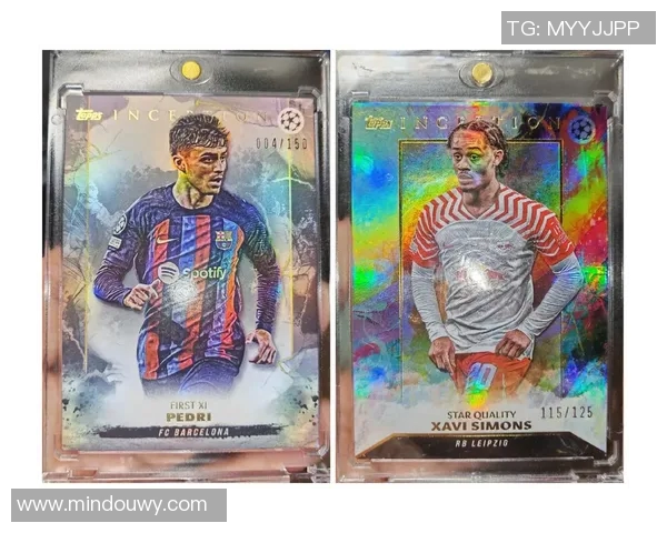 全球足球俱乐部球星卡收藏市场热潮及其发展趋势分析