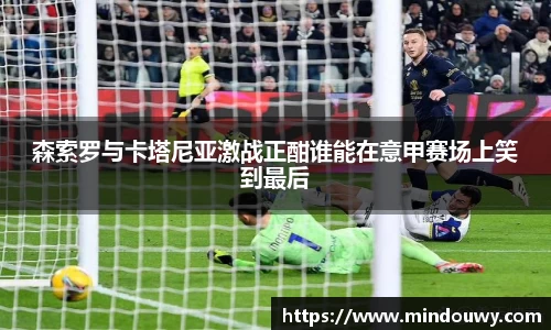 森索罗与卡塔尼亚激战正酣谁能在意甲赛场上笑到最后